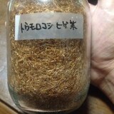 トウモロコシのヒゲ茶☆